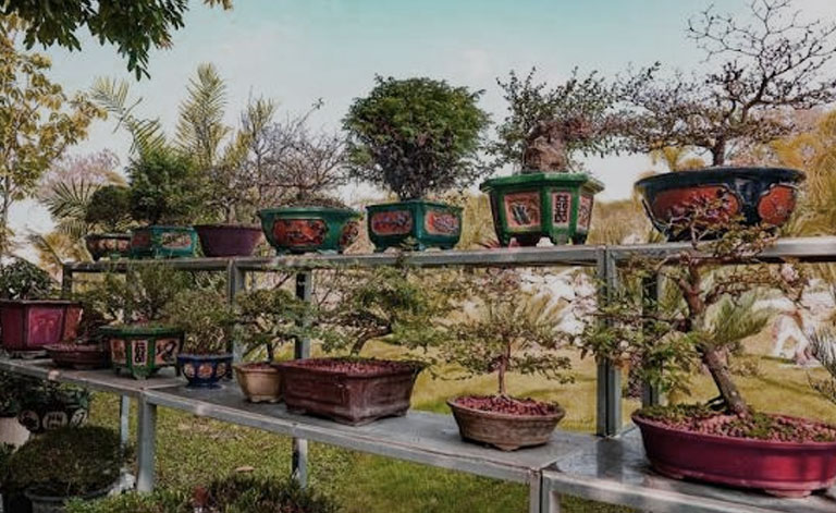 Balcony-Garden-13