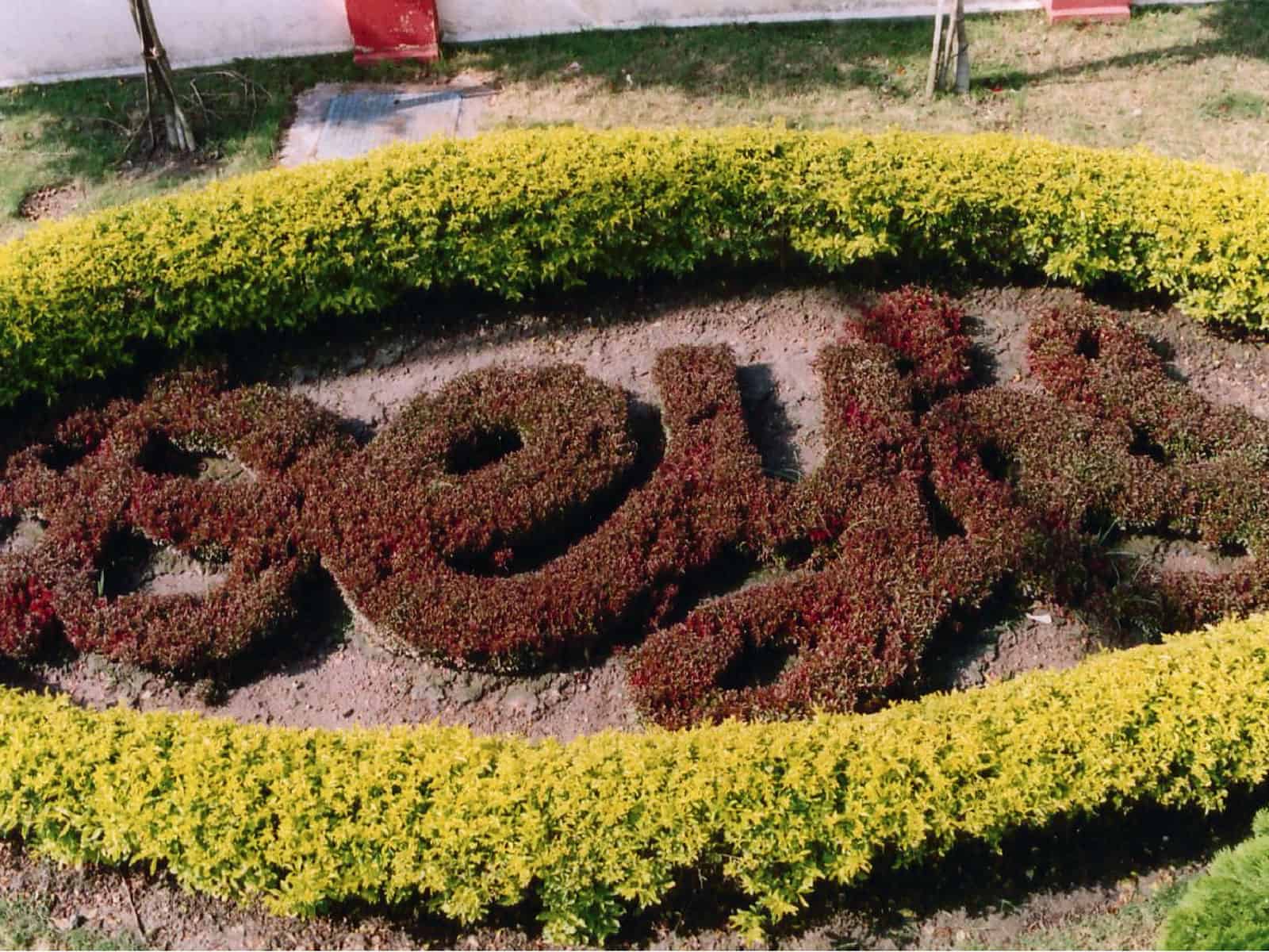 Gardening-Maintenance-3