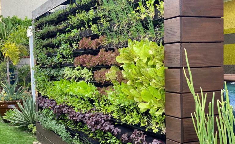 Vertical-Garden-4