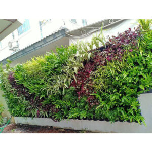 Vertical Garden 1
