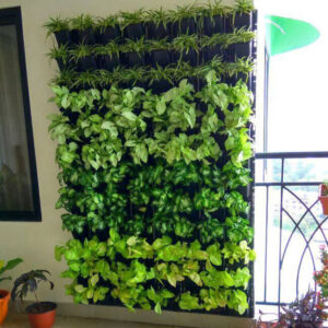 Vertical Garden 2