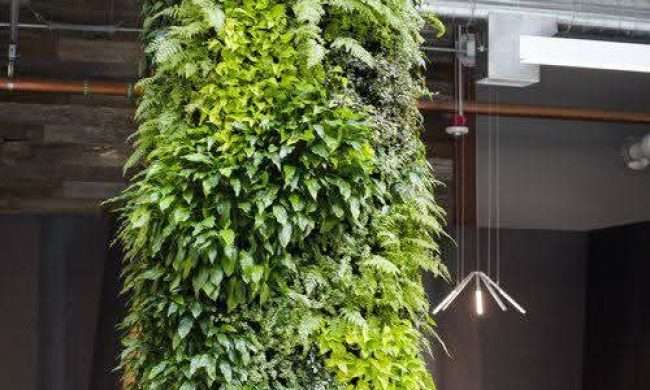 Vertical Garden Products (1)