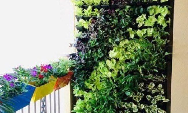 Vertical Garden Products (12)
