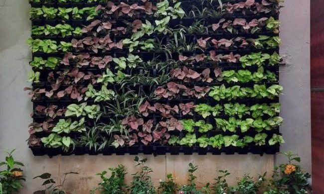 Vertical Garden Products (13)