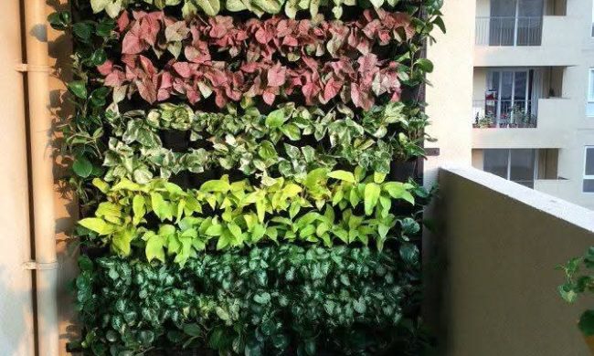 Vertical Garden Products (14)