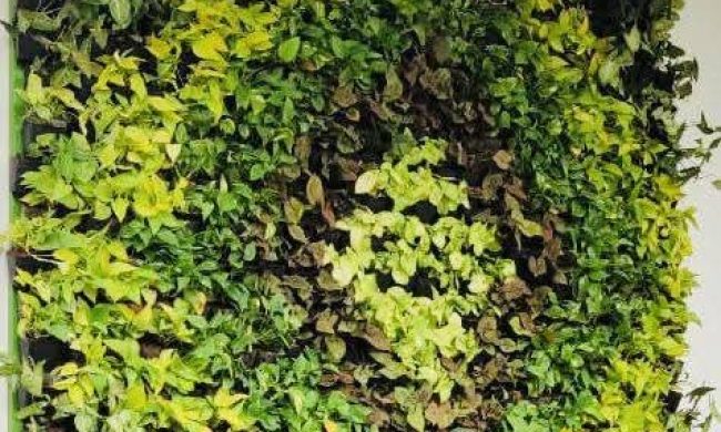 Vertical Garden Products (2)