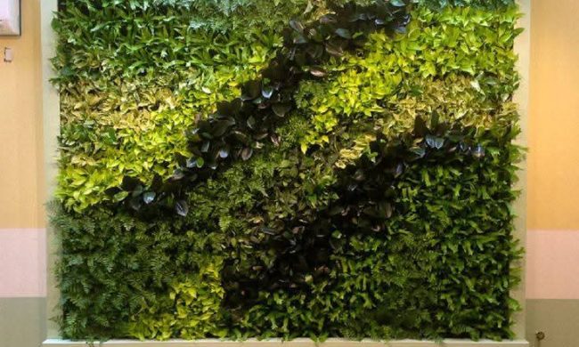 Vertical Garden Products (3)