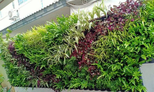 Vertical Garden Products (4)