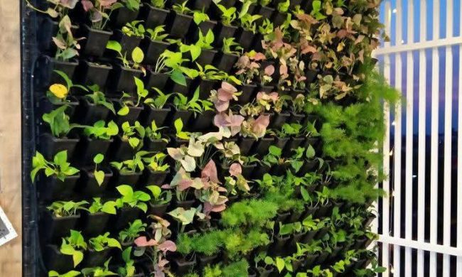 Vertical Garden Products (7)
