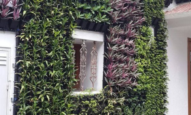 Vertical Garden Products (8)