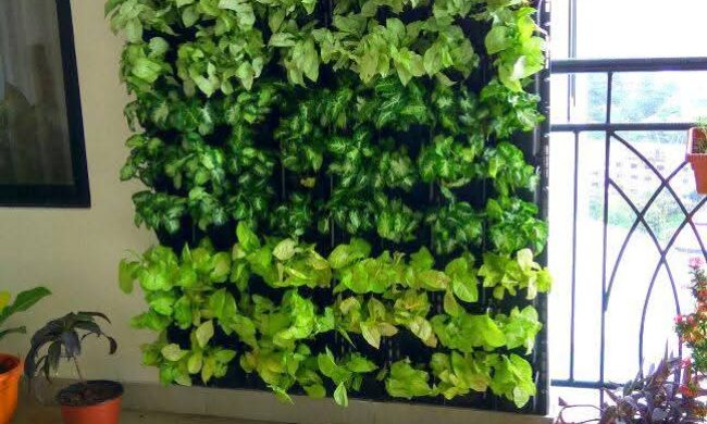 Vertical Garden Products (9)